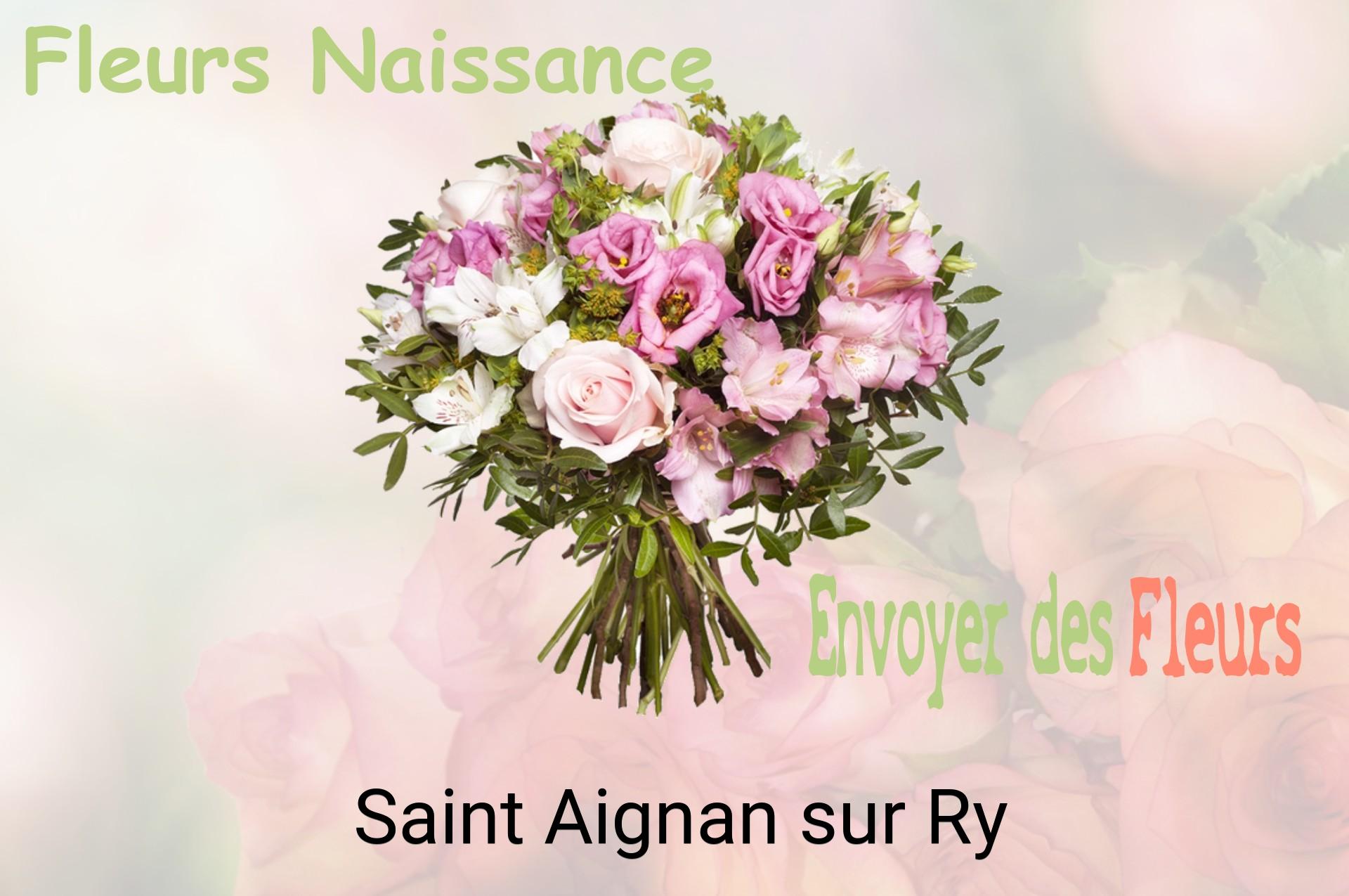 Bouquet de fleurs de naissance livré à Saint-Aignan-sur-Ry